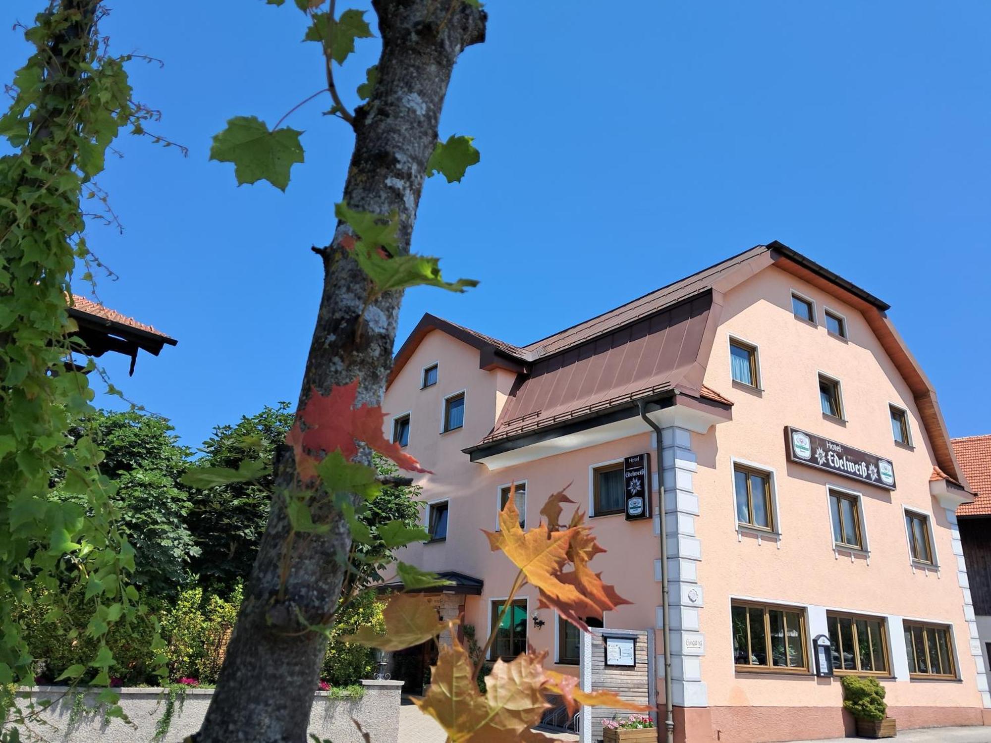 Hotel Garni Edelweiss Siegsdorf Exterior foto